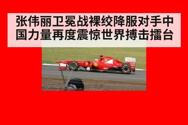张伟丽卫冕战裸绞降服对手中国力量再度震惊世界搏击擂台